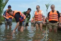 Du lịch kết hợp trồng dừa nước bảo vệ môi trường ở Quảng Nam
