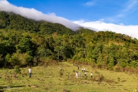Khám phá rừng và cuộc sống người Vân Kiều