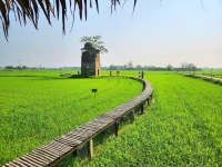 Quảng Nam kết nối các điểm du lịch nông thôn tạo sản phẩm du lịch mới