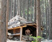 Thoải mái 'tắm tiên' trong rừng ở Hàn Quốc