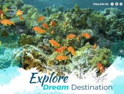 Tour lặn san hô Sơn Trà bằng tàu đáy kính